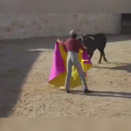 Imagen de la corrida de toros retransmitida por Youtube.