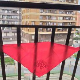 La marea pensionista vasca lleva su lucha a los balcones