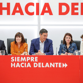 El presidente del Gobierno en funciones y secretario general del PSOE, Pedro Sánchez (c), en la reunión de la Ejecutiva Federal del partido en Ferraz. EFE/Emilio Naranjo