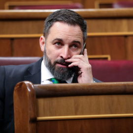 Santiago Abascal hablando por teléfono en el Congreso de los Diputados. / Europa Press