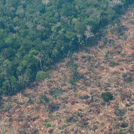 Vista de la Amazonía brasileña de Rondonia, en una fotografía de archivo. EFE/Joédson Alves