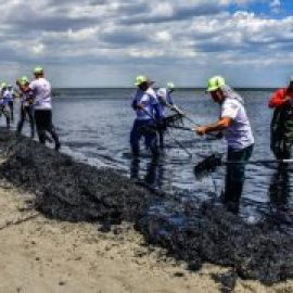 El Mar Menor, ante el riesgo de un nuevo brote (ambiental)