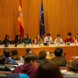 Los niños y niñas que han acudido al Congreso a debatir junto a diputados sobre la violencia infantil y el acoso escolar. /EDUCO