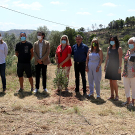 Els vuit alcaldes afectats per l'incendi de la Ribera d'Ebre davant d'unes de les oliveres plantades en l'acte de commemoració del primer aniversari de l'incendi.