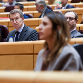 El presidente del PP, Alberto Núñez Feijóo, durante una sesión plenaria, en el Senado, a 8 de febrero de 2023, en Madrid (España). Foto: Gustavo Valiente / Europa Press