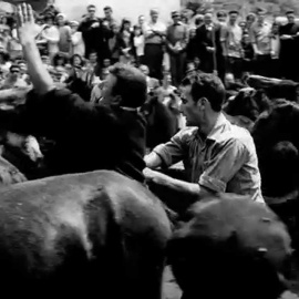  Un instante en el documental 'Lejos de los árboles'