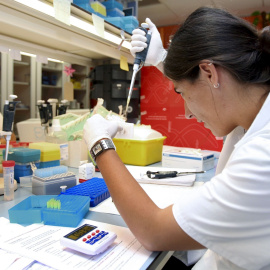 Una investigadora española trabaja en el laboratorio.- EFE/ARCHIVO