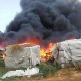 El Ayuntamiento de Lepe abandona a su suerte a medio centenar de temporeros tras el incendio de las chabolas donde vivían