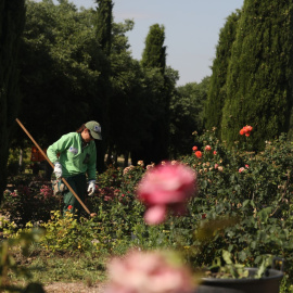 Una jardinera trabaja en el Real Jardín Botánico Juan Carlos I de la Universidad de Alcalá,