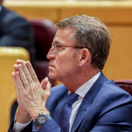 El presidente del Partido Popular, Alberto Núñez Feijóo, durante una sesión de control al Gobierno en el Senado, a 9 de mayo de 2023, en Madrid (España). Foto: Ricardo Rubio / Europa Press