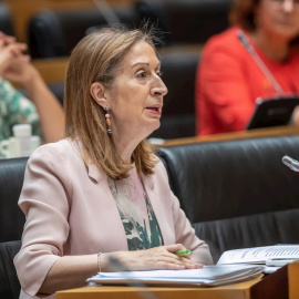 La diputada del PP, Ana Pastor durante su intervención en la Comisión para la Reconstrucción Social y Económica del Congreso. EFE/Rodrigo Jiménez