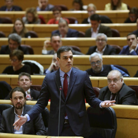 El presidente del Gobierno, Pedro Sánchez, interviene para responder a la oposición en el pleno del Senado. EFE/Kiko Huesca