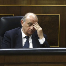 El ministro del Interior, Jorge Fernández Díaz, durante el pleno del Congreso. EFE