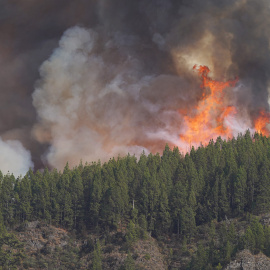 El incendio forestal, a 17 de agosto de 2023, en La Orotava, Tenerife, Islas Canarias (España). Europa Press