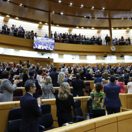  El Congreso aprueba la reforma de la Constitución para cambiar el término "disminuidos" por "persona con discapacidad". — EFE/ J.J. Guillén