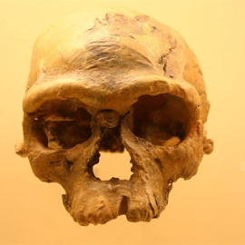 Científicos descubren los fósiles de los primeros 'Homo sapiens' en Marruecos. WIKIMEDIA/DAVID H. KOCH