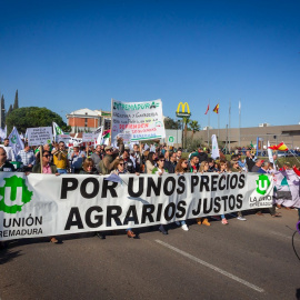 Los agricultores convocados por La Unión, la Asociación del Sector Primario Extremeño (ASEPREX) y la Asociación del Valle del Jerte, participan en una manifestación por los precios de los productos agrarios este viernes en Mérida y cuyo recorrido co