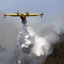 Un hidroavión durante las tareas de extinción en Cantabria. / EFE