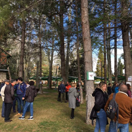 Movilizaciones en Jardinillos de Palencia para evitar la tala de árboles. TWITTER