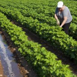 La presión social silencia a las mujeres lesbianas y trans del mundo rural