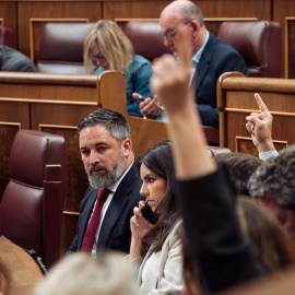 Santiago Abascal en una sesión del Congreso.- Gabriel Luengas / Europa Press