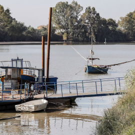 Imagen del Guadalquivir a su paso por el municipio sevillano de Coria del Río, una de las dos localidades donde se ha registrado el brote de meningoencefalitis vírica con 18 personas afectadas. - EFE