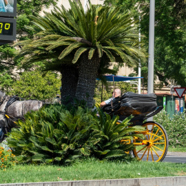 Imágenes de personas al lado de un termómetro en las calles de la capital hispalense a 47 grados de temperatura en Sevilla.- Francisco J. Olmo / Europa Press