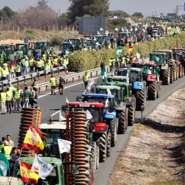 25/02/2020.- La 'tractorada' de agricultores y ganaderos, que cortan la carretera A-4 a la altura de la localidad sevillana de Carmona. EFE/José Manuel Vidal