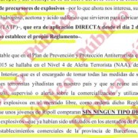 El Ministeri de l'Interior no va aplicar la normativa europea de precursors d'explosius que hauria pogut descobrir el comando del 17-A