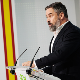  El presidente de VOX, Santiago Abascal, durante una rueda de prensa posterior al Comité de Acción Política de VOX, en Madrid. Carlos Luján / Europa Press