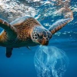 El oceáno Atlántico tiene más microplásticos que los que se creía