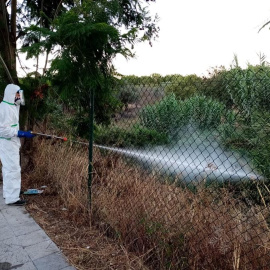 Fotografía facilitada por el Ayuntamiento de Palomares del Río (Sevilla) de un operario fumigando un terreno tras anunciar dicho municipio que iniciaría el protocolo de actuación contra el mosquito del virus del Nilo ante los casos de contagio produci