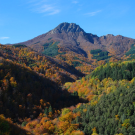 Imatge d'arxiu del parc natural del Montseny. Viquipèdia