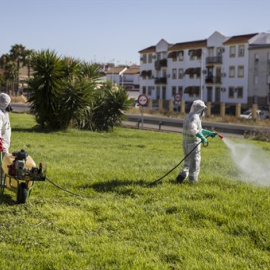 Dos trabajadores durante las labores de fumigación contra los mosquitos causantes del virus del Nilo en Coria del Río / María José López / Europa Press