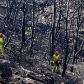 Els incendis del segle XXI podrien arrasar els Pirineus