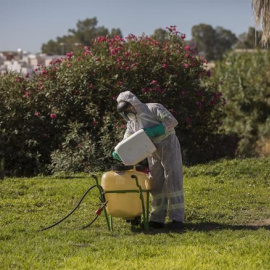 Un trabajador durante las labores de fumigación contra los mosquitos causantes del virus del Nilo en Coria del Río / María José López / EUROPA PRESS