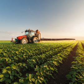 El sector agro será una de las prioridades para la financiación urgente del BEI a distribuir por el Banco Santander