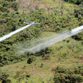 Aviones rocían con glifosato cultivos de coca en Colombia.