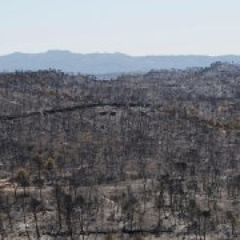 La pèrdua de la pagesia deixa Catalunya amb uns boscos sense tallafocs naturals i amb combustible forestal en excés