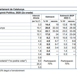 Baròmetre del CEO del segon trimestre del 2020.