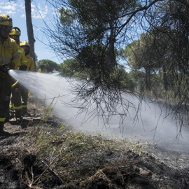 Efectivos del Infoca realizan labores de refresco tras el incendio forestal declarado el pasado sábado en el paraje "La Peñuela" de Moguer (Huelva), que ha afectado a una amplia superficie de masa forestal del entorno de Doñana e incluso parte del parq