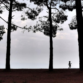 Un niño camina este lunes por el pinar del la playa de A Madalena, en el concello coruñés de Cabanas, en una jornada en la que Asturias, Castilla y León, Extremadura y Galicia están en alerta amarilla por lluvias que pueden acumular hasta 15 litros p