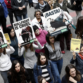 Manifestación de Libertad Animal Navarra en Pamplona, el pasado 1 de julio. EFE