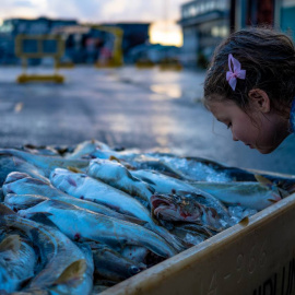 Según un estudio realizado por científicos islandeses, la percepción del olor a pescado depende de la variación o no del gen TAAR5. / Jón Gústafsson, deCODE Genetics - Amgen Inc.