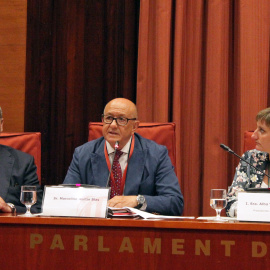 Martín-Blas, en la seva compareixença a la comissió d'investigació sobre 'l'Operació Catalunya'. / FOTO: PARLAMENT DE CATALUNYA