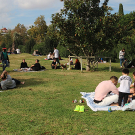 Grups de persones fent pícnics al Parc de la Ciutadella aquest diumenge. ACN