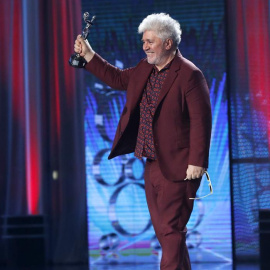 GRA559. MADRID, 22/07/2017.- El director español Pedro Almodovar tras recibir el premio Platino a la Mejor Dirección por la película "Julieta",durante la ceremonia de entrega de los IV Premios Platino del Cine Iberoamericano celebrada esta noche en la 