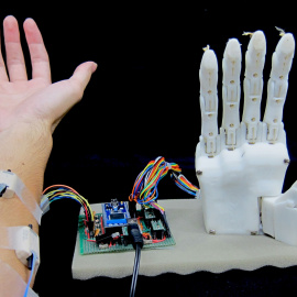 Imagen de la mano robótica.  [Furui et al., Sci. Robot.]