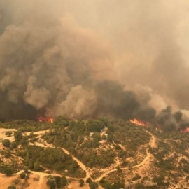 Incendi de Torre de l'Espanyol. EUROPA PRESS -  AGENTS RURALS