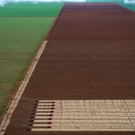 Un convoy de cosechadoras avanza en un campo de cultivo de Campo Novo do Parecis, Brasil.